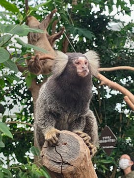 神戸どうぶつ王国に投稿された画像（2021/9/26）