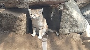 神戸どうぶつ王国に投稿された画像（2021/9/26）