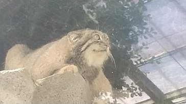 神戸どうぶつ王国に投稿された画像（2021/9/26）