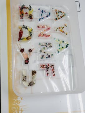 ずこうしつ〜sugamo〜に投稿された画像（2021/9/26）