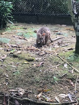 ネオパークオキナワに投稿された画像（2021/9/26）