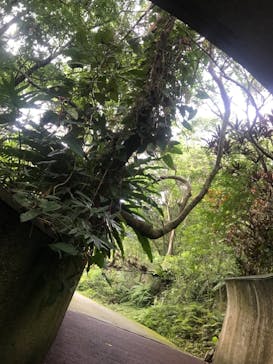 ネオパークオキナワに投稿された画像（2021/9/26）