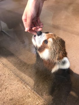 ネオパークオキナワに投稿された画像（2021/9/26）