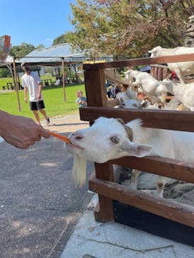 長崎バイオパークに投稿された画像（2021/9/26）