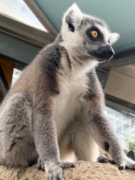 神戸どうぶつ王国に投稿された画像（2021/9/26）