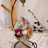 une graine（アングレンヌ）に投稿された画像（2021/9/26）