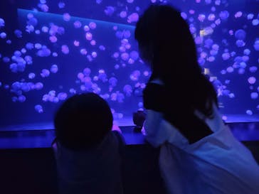 京都水族館に投稿された画像（2021/9/26）