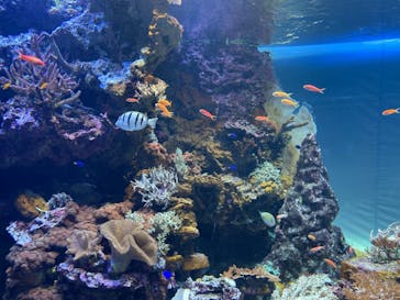 サンシャイン水族館に投稿された画像（2021/9/26）