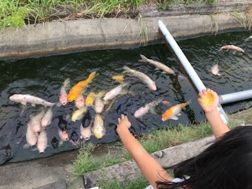 神戸どうぶつ王国に投稿された画像（2021/9/26）