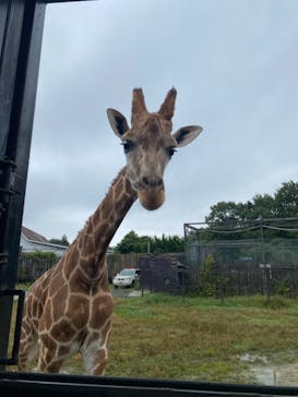 那須サファリパークに投稿された画像（2021/9/26）