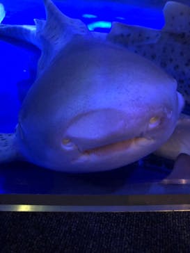 新江ノ島水族館に投稿された画像（2021/9/26）