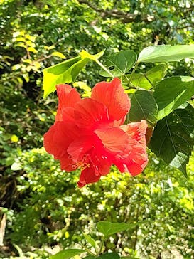 ネオパークオキナワに投稿された画像（2021/9/26）