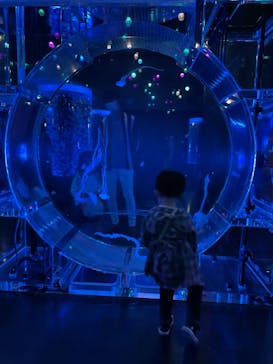 マクセル アクアパーク品川に投稿された画像（2021/9/26）