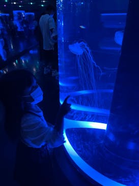 マクセル アクアパーク品川に投稿された画像（2021/9/26）