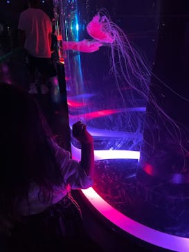 マクセル アクアパーク品川に投稿された画像（2021/9/26）