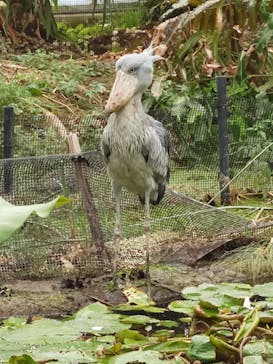 神戸どうぶつ王国に投稿された画像（2021/9/26）
