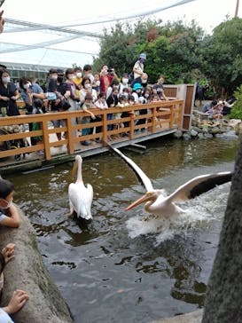 神戸どうぶつ王国に投稿された画像（2021/9/26）