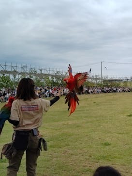 神戸どうぶつ王国に投稿された画像（2021/9/26）