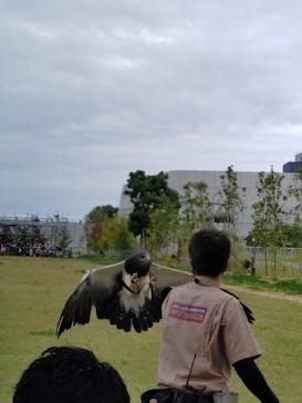 神戸どうぶつ王国に投稿された画像（2021/9/26）