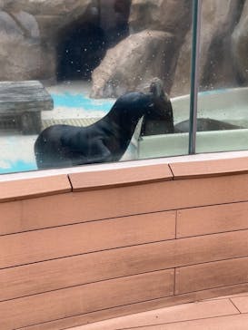 サンシャイン水族館に投稿された画像（2021/9/26）