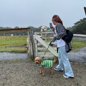 那須どうぶつ王国に投稿された画像（2021/9/26）