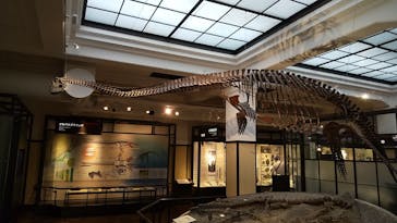 国立科学博物館に投稿された画像（2021/9/26）
