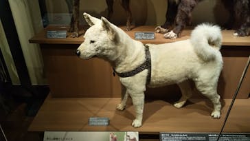 国立科学博物館に投稿された画像（2021/9/26）