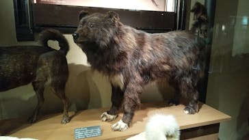 国立科学博物館に投稿された画像（2021/9/26）