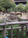 天王寺動物園に投稿された画像（2021/9/26）
