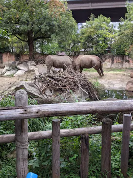 天王寺動物園に投稿された画像（2021/9/26）