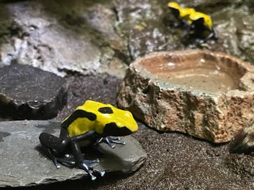 サンシャイン水族館に投稿された画像（2021/9/26）