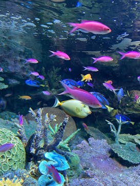 サンシャイン水族館に投稿された画像（2021/9/26）