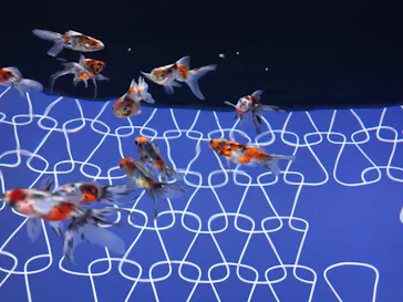 すみだ水族館に投稿された画像（2021/9/26）