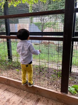 群馬サファリパークに投稿された画像（2021/9/26）