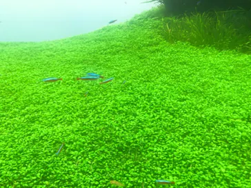 すみだ水族館に投稿された画像（2021/9/26）