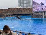 名古屋港水族館に投稿された画像（2021/9/26）