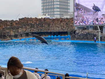 名古屋港水族館に投稿された画像（2021/9/26）