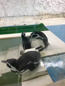 天王寺動物園に投稿された画像（2021/9/26）