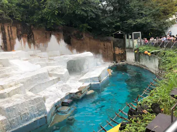 天王寺動物園に投稿された画像（2021/9/26）