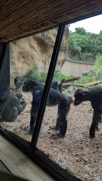 よこはま動物園ズーラシアに投稿された画像（2021/9/26）