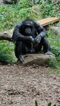 よこはま動物園ズーラシアに投稿された画像（2021/9/26）