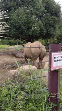 よこはま動物園ズーラシアに投稿された画像（2021/9/26）