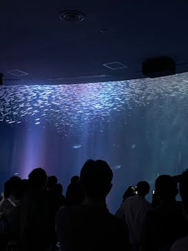 名古屋港水族館に投稿された画像（2021/9/26）