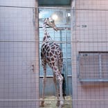 天王寺動物園に投稿された画像（2021/9/26）