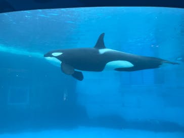 名古屋港水族館に投稿された画像（2021/9/26）