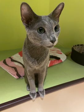 Moff animal world MARK IS みなとみらい店に投稿された画像（2021/9/25）