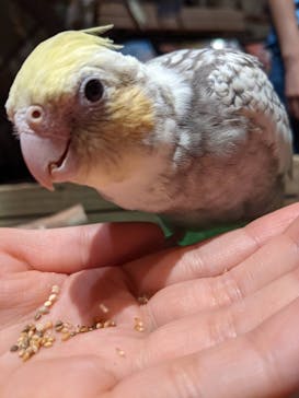 Moff animal world MARK IS みなとみらい店に投稿された画像（2021/9/25）