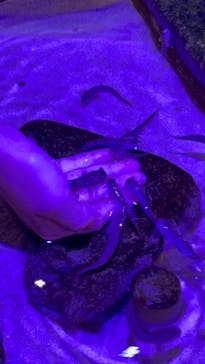 南知多ビーチランド＆南知多おもちゃ王国に投稿された画像（2021/9/26）