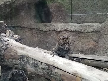 神戸どうぶつ王国に投稿された画像（2021/9/26）