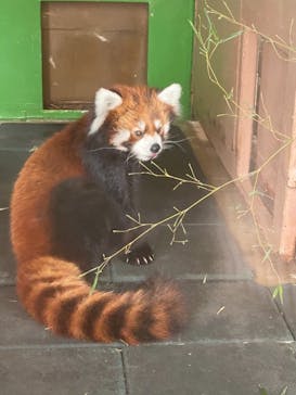 東武動物公園に投稿された画像（2021/9/26）